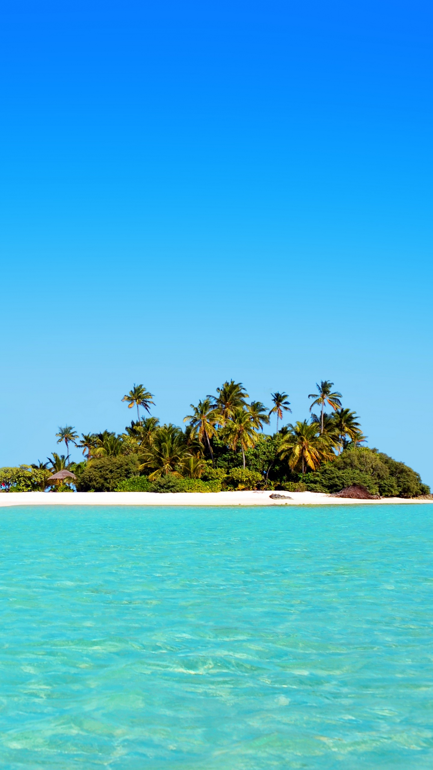 Leute am Strand Tagsüber. Wallpaper in 1440x2560 Resolution