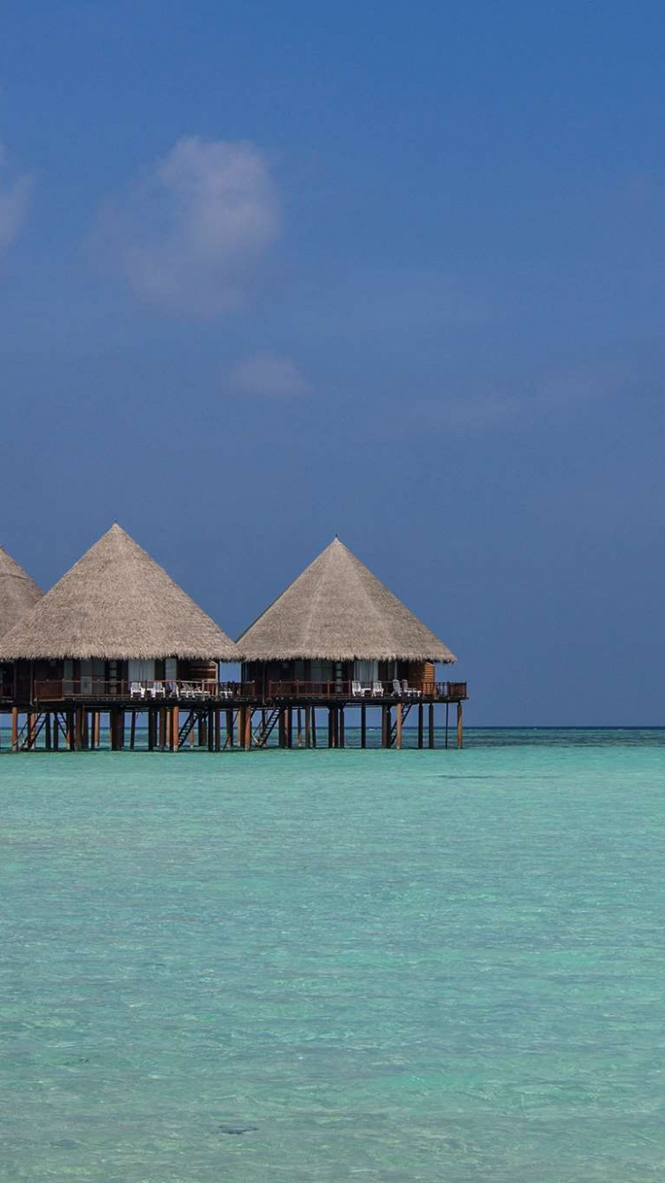 Braunes Holzhaus am Meer Unter Blauem Himmel Tagsüber. Wallpaper in 750x1334 Resolution