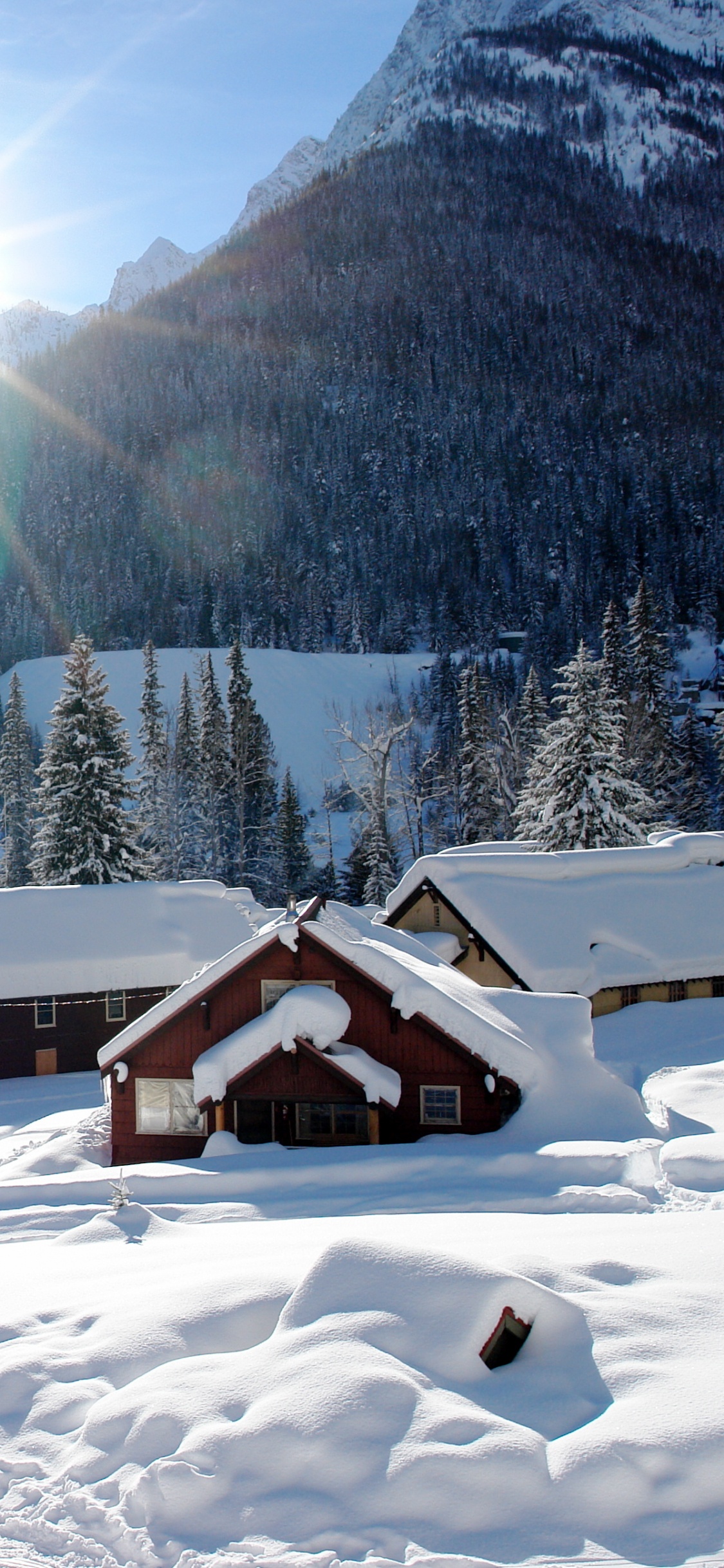Brown and White House Near Green Trees and Mountain During Daytime. Wallpaper in 1125x2436 Resolution
