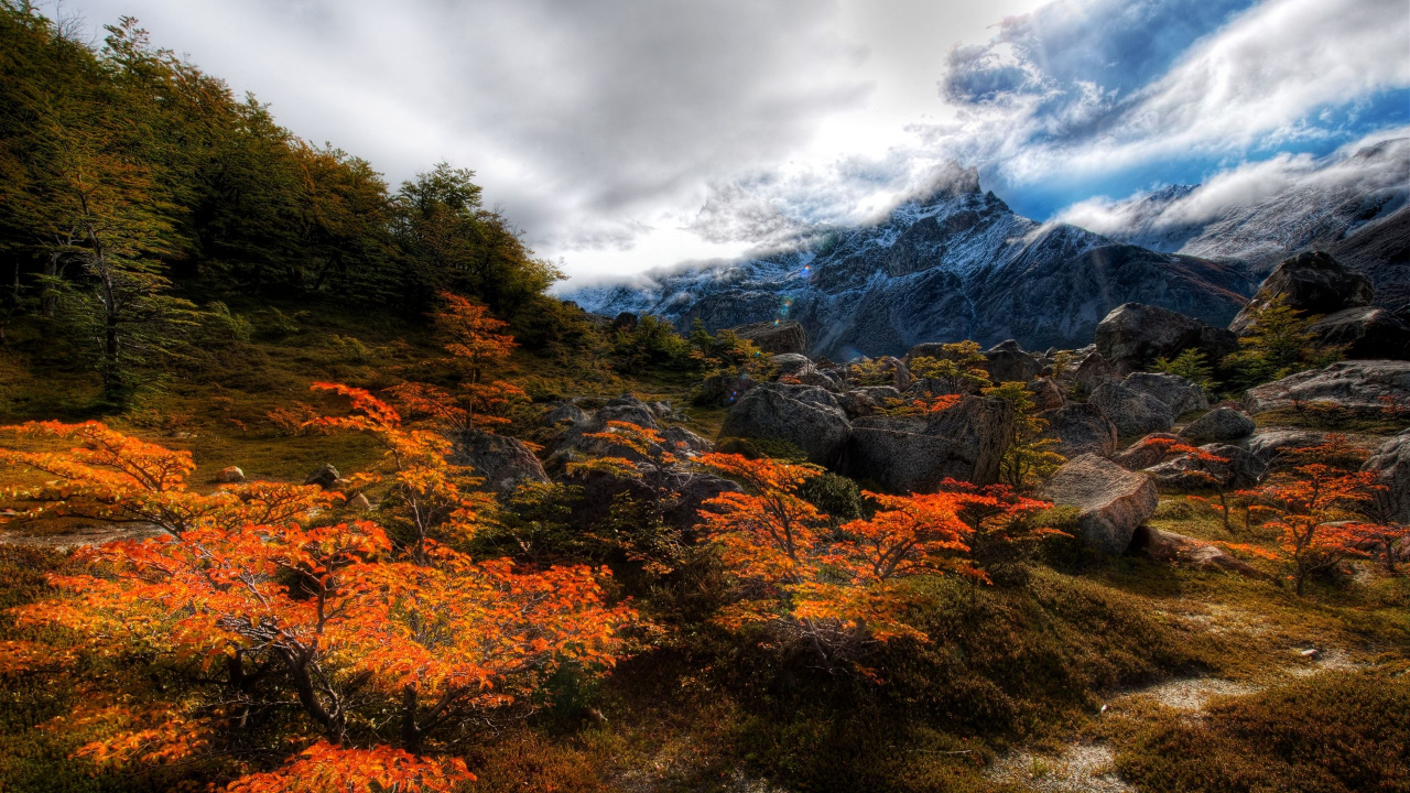 Green and Brown Trees Near Mountain Under White Clouds During Daytime. Wallpaper in 1280x720 Resolution