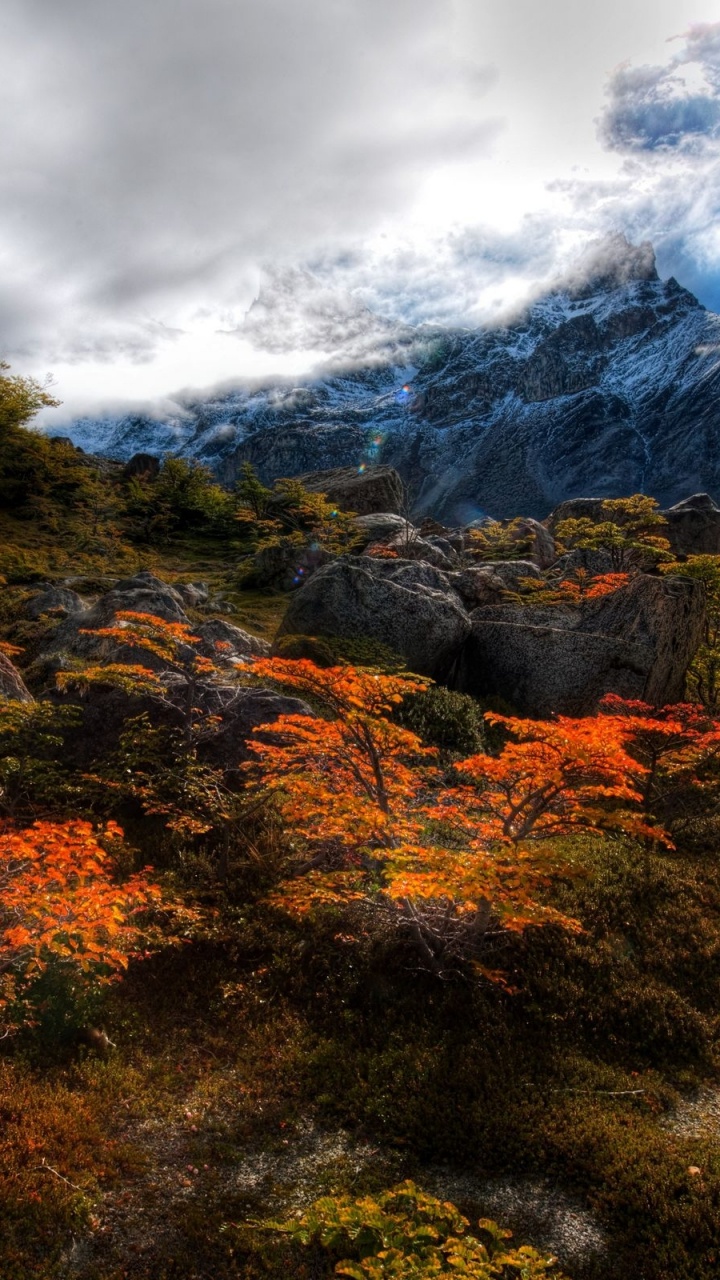 Green and Brown Trees Near Mountain Under White Clouds During Daytime. Wallpaper in 720x1280 Resolution