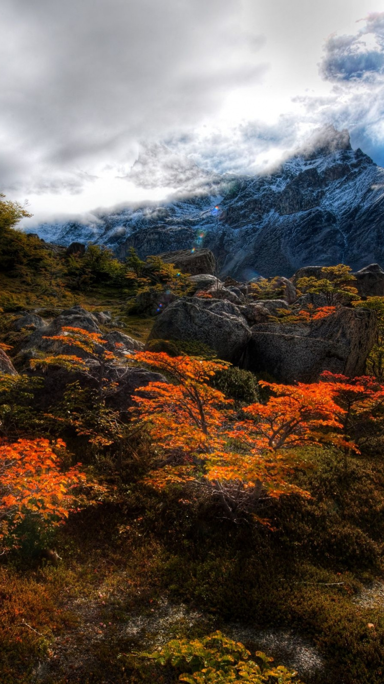 Green and Brown Trees Near Mountain Under White Clouds During Daytime. Wallpaper in 750x1334 Resolution