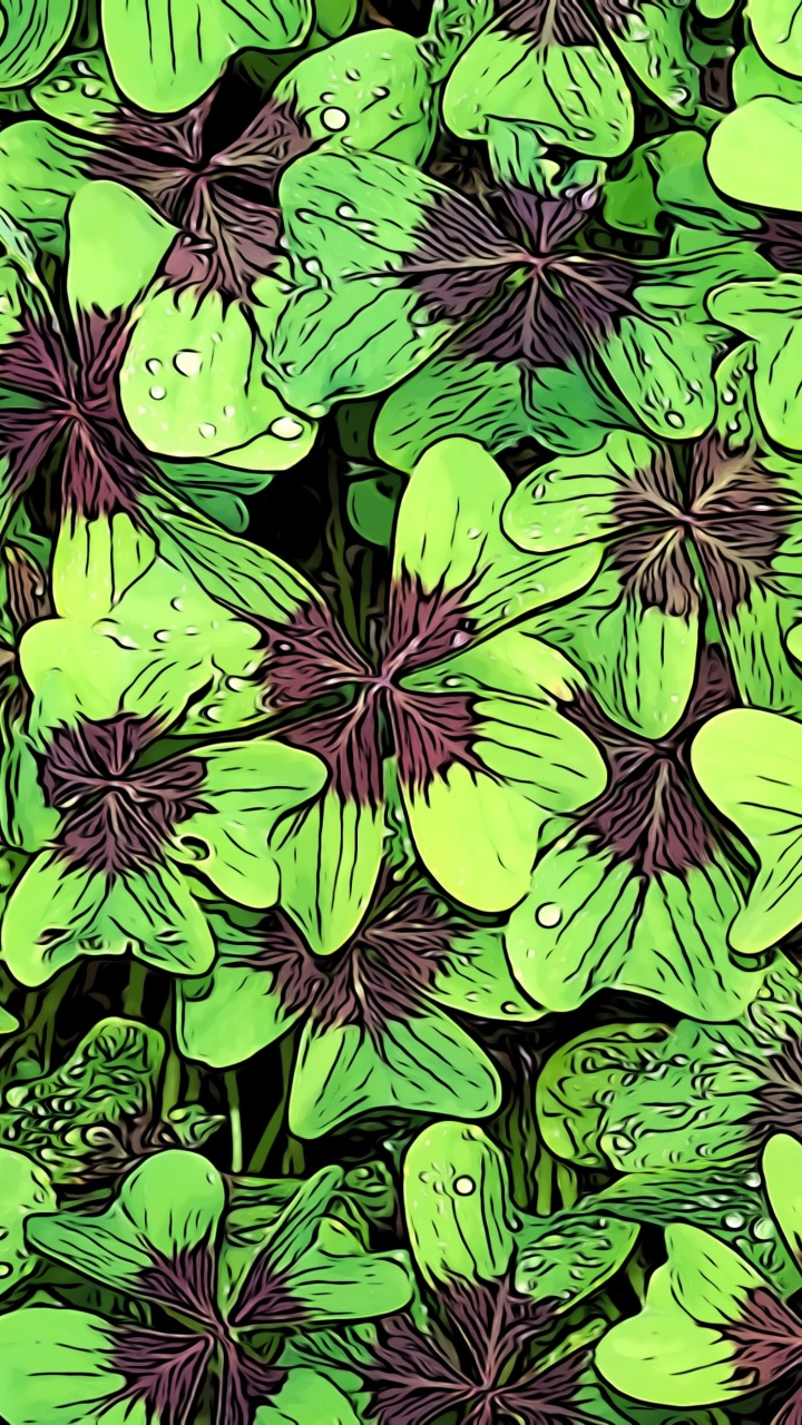 Green and Purple Leaves Plant. Wallpaper in 720x1280 Resolution