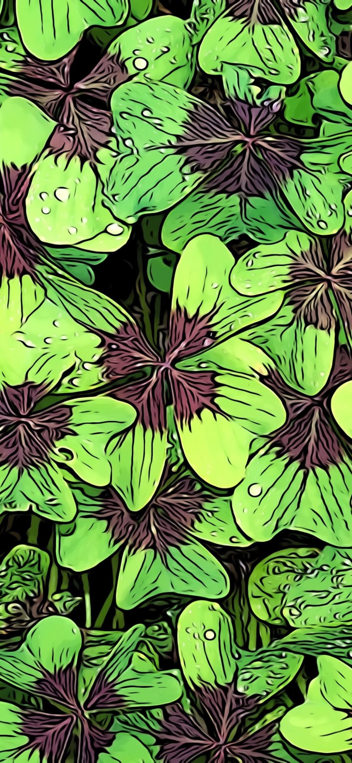 Planta de Hojas Verdes y Moradas. Wallpaper in 1125x2436 Resolution