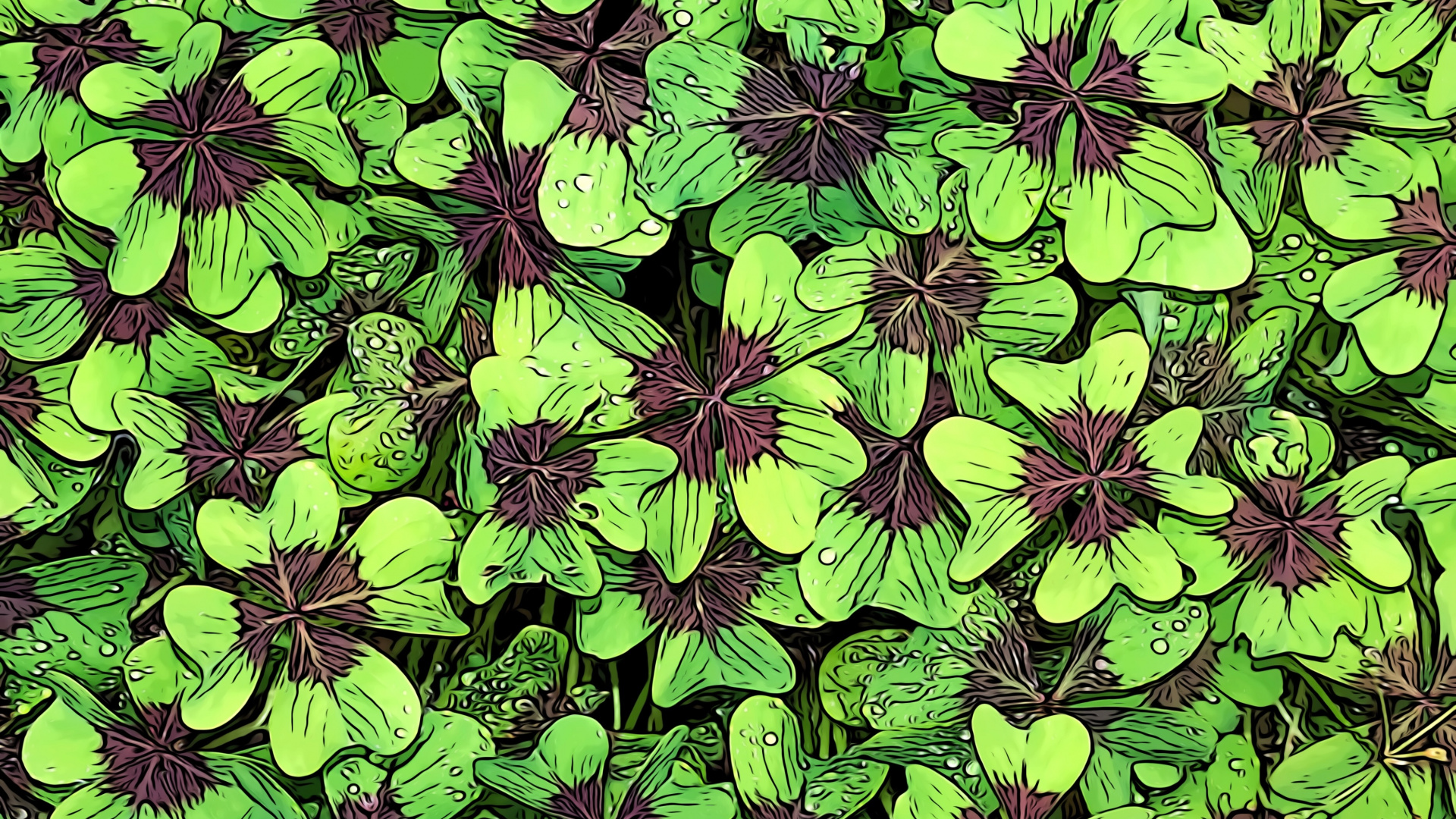 Planta de Hojas Verdes y Moradas. Wallpaper in 1920x1080 Resolution