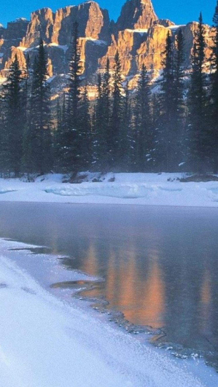 Snow Covered Field and Trees Near Lake During Daytime. Wallpaper in 750x1334 Resolution