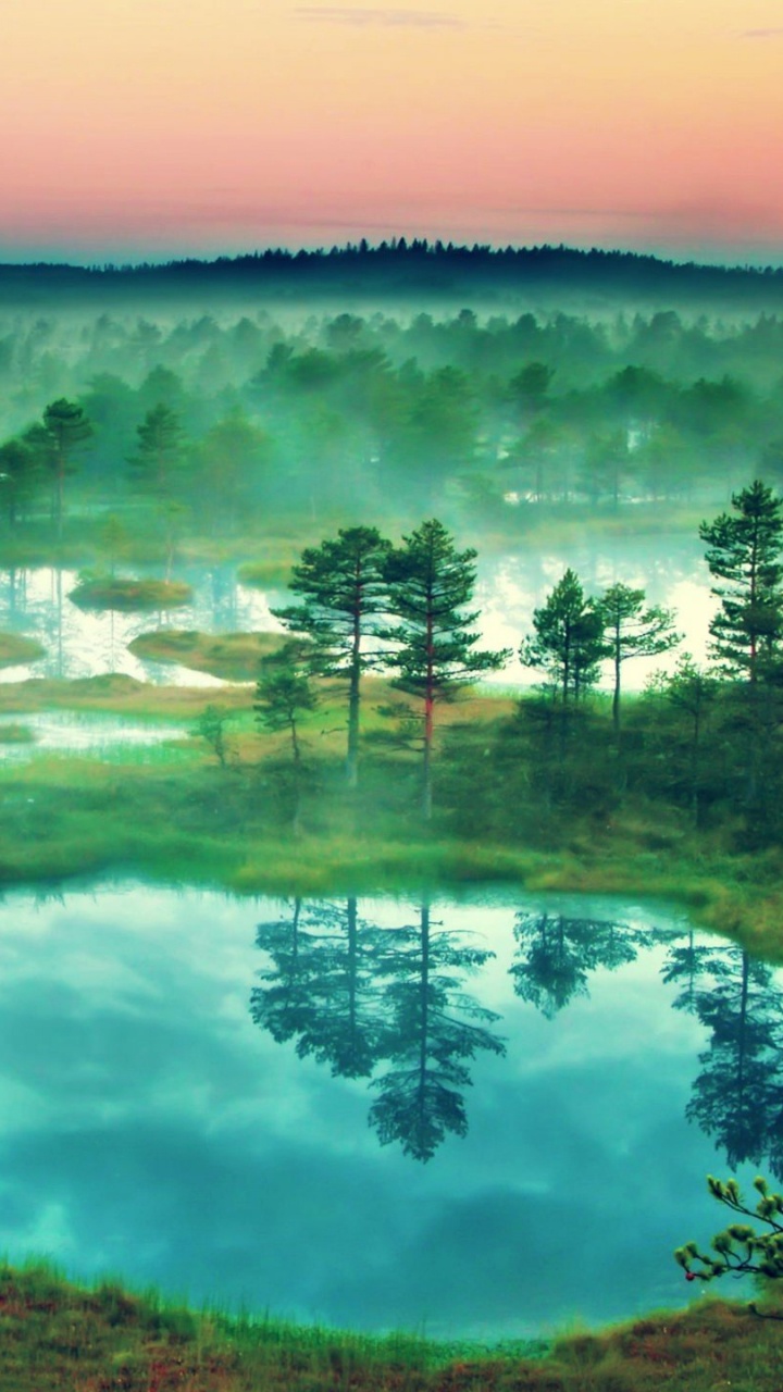 Green Trees Near Body of Water During Daytime. Wallpaper in 720x1280 Resolution