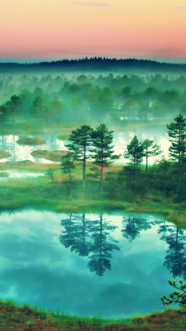 Green Trees Near Body of Water During Daytime. Wallpaper in 750x1334 Resolution