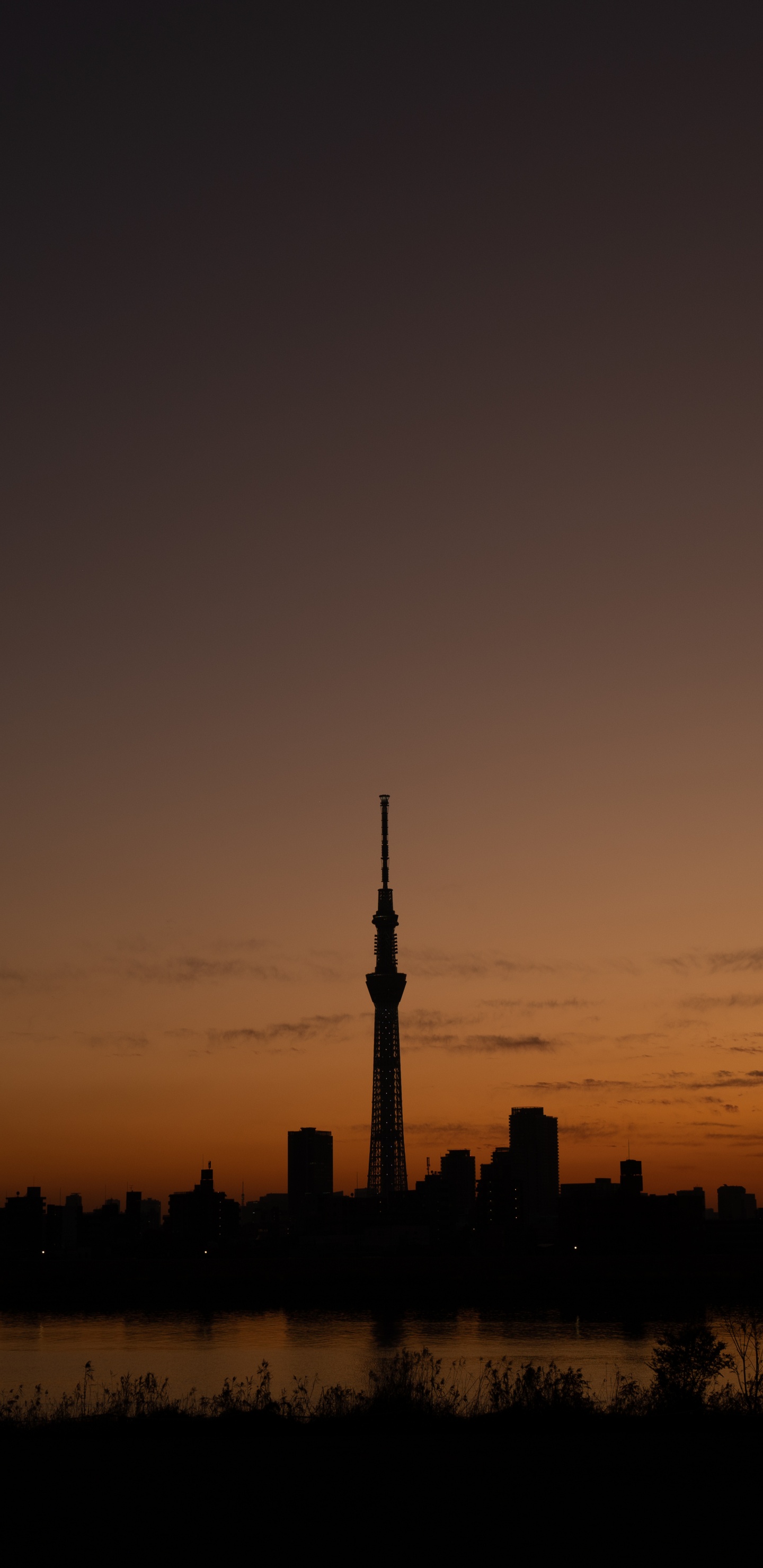 Silueta de Los Edificios de la Ciudad Durante la Puesta de Sol. Wallpaper in 1440x2960 Resolution