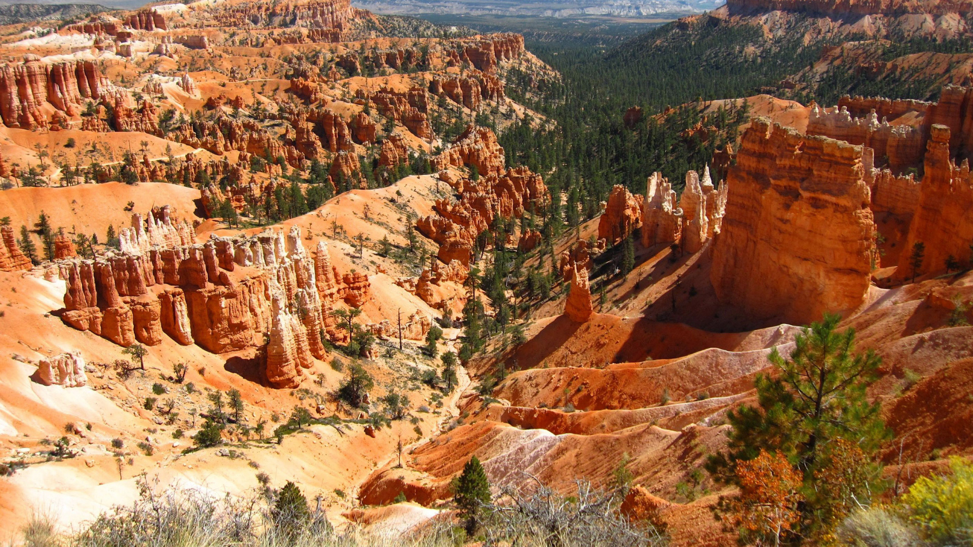 Brown Rock Formation With Green Trees During Daytime. Wallpaper in 1920x1080 Resolution