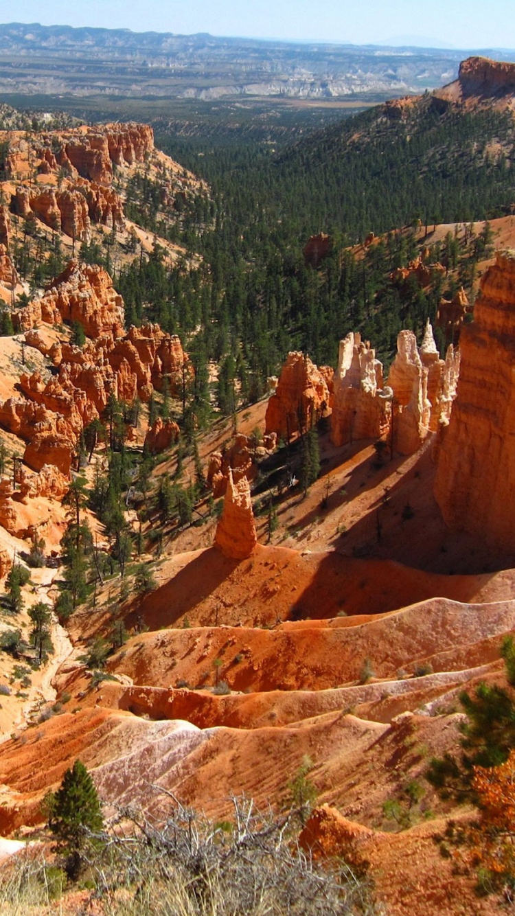 Brown Rock Formation With Green Trees During Daytime. Wallpaper in 750x1334 Resolution