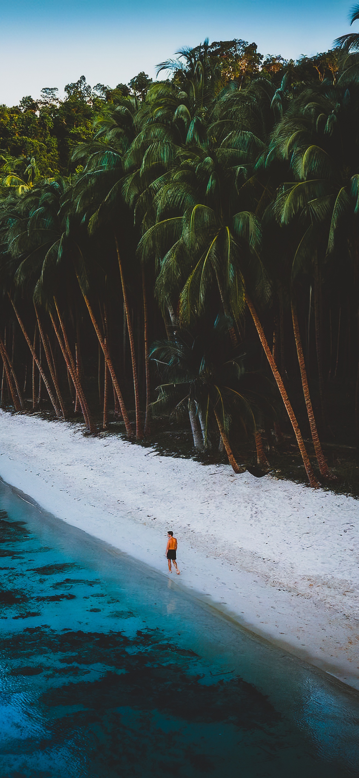 Agua, Los Recursos de Agua, Naturaleza, Entorno Natural, Playa. Wallpaper in 1242x2688 Resolution