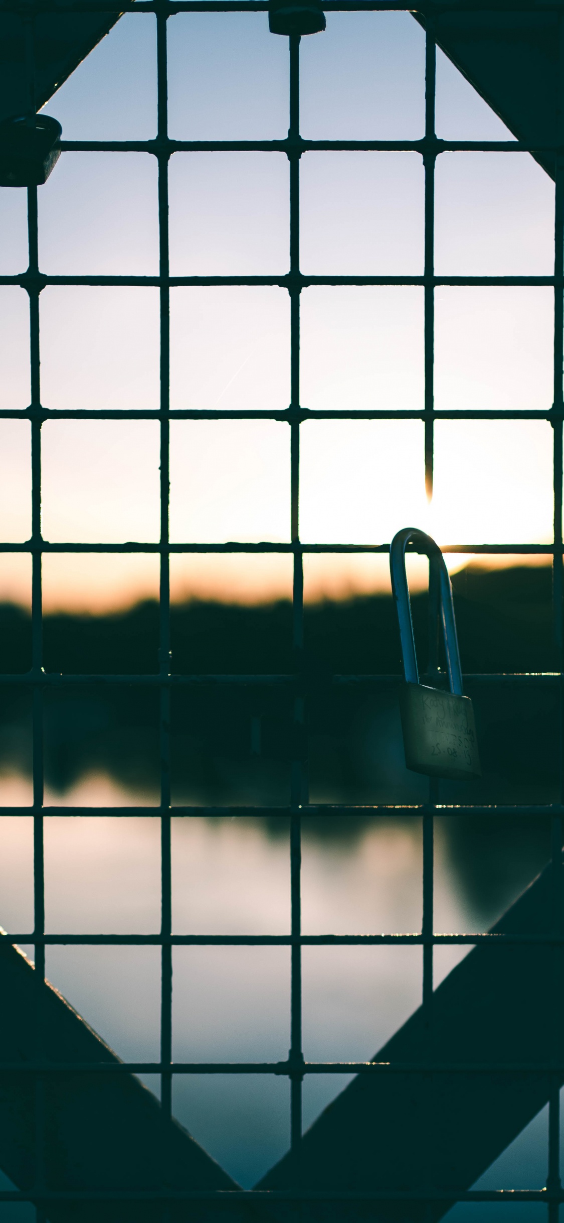 Black Metal Fence With Padlock. Wallpaper in 1125x2436 Resolution