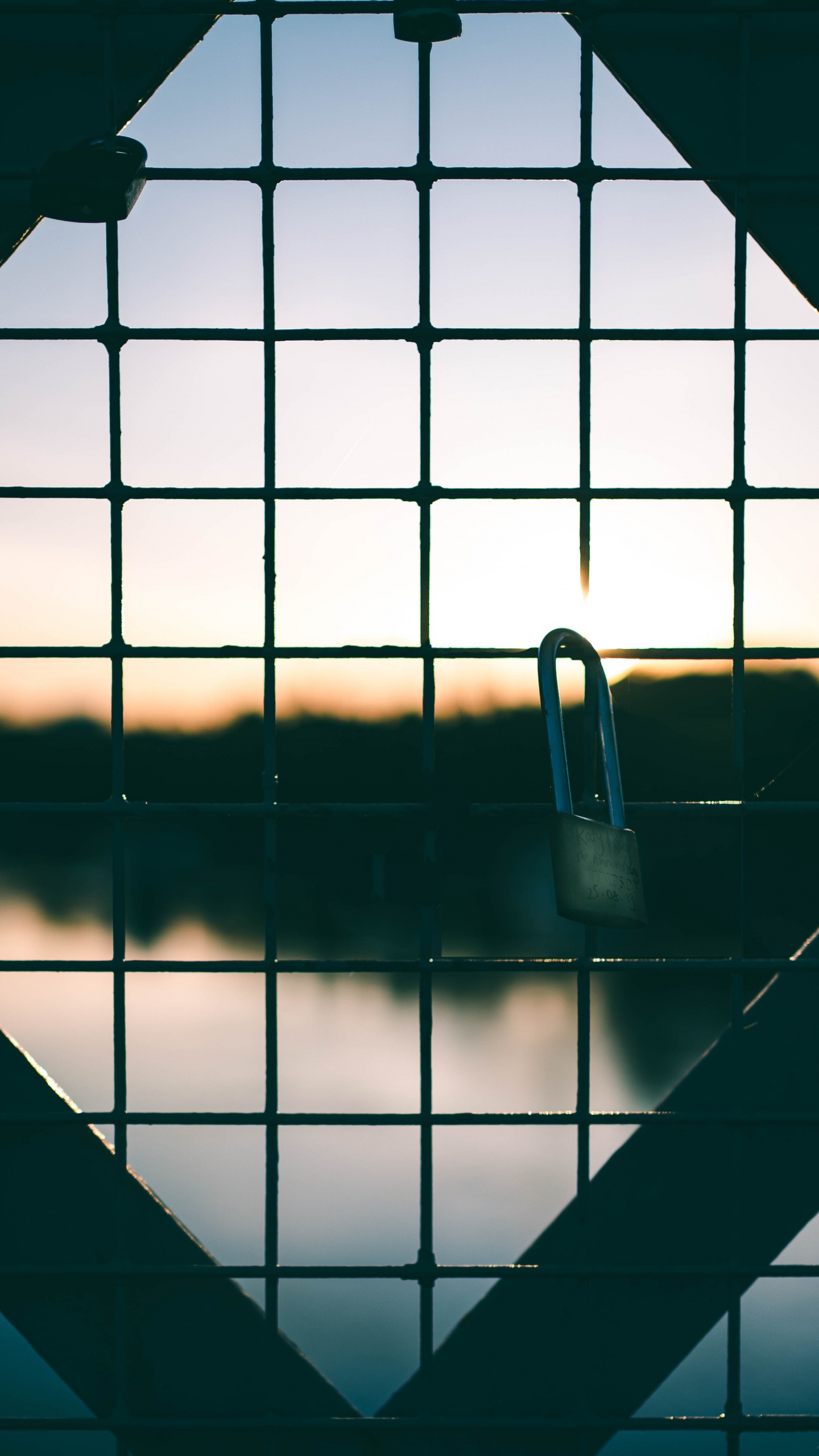 Clôture en Métal Noir Avec Cadenas. Wallpaper in 1440x2560 Resolution