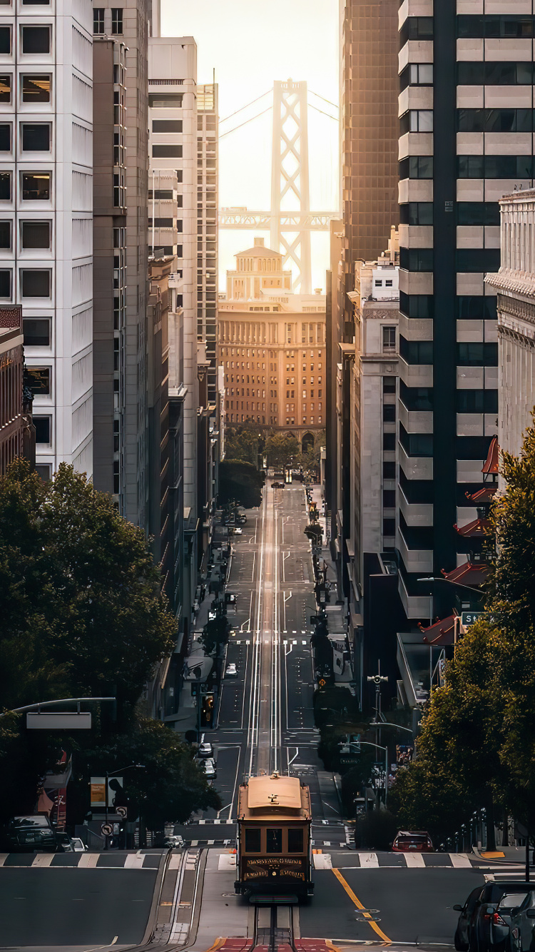 Peter Sagan, Building, Skyscraper, Light, Infrastructure. Wallpaper in 750x1334 Resolution