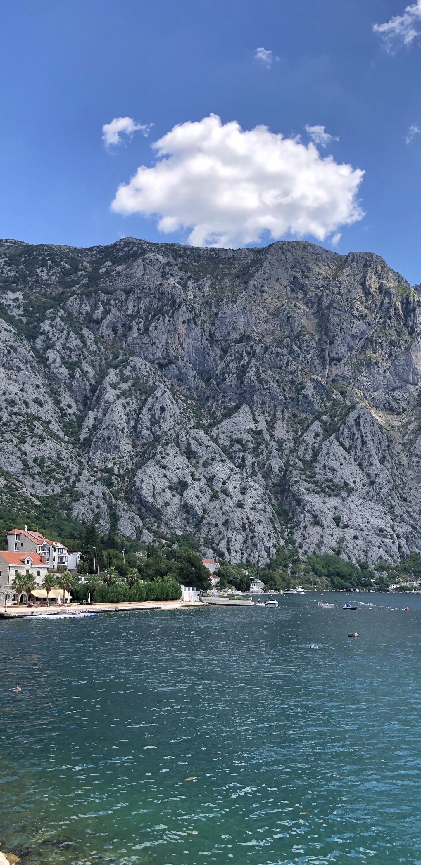 Montenegro, Body of Water, Mountainous Landforms, Nature, Vegetation. Wallpaper in 1440x2960 Resolution