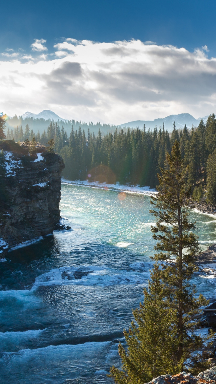 Grüne Bäume in Der Nähe Von Gewässern Unter Blauem Himmel Tagsüber. Wallpaper in 750x1334 Resolution