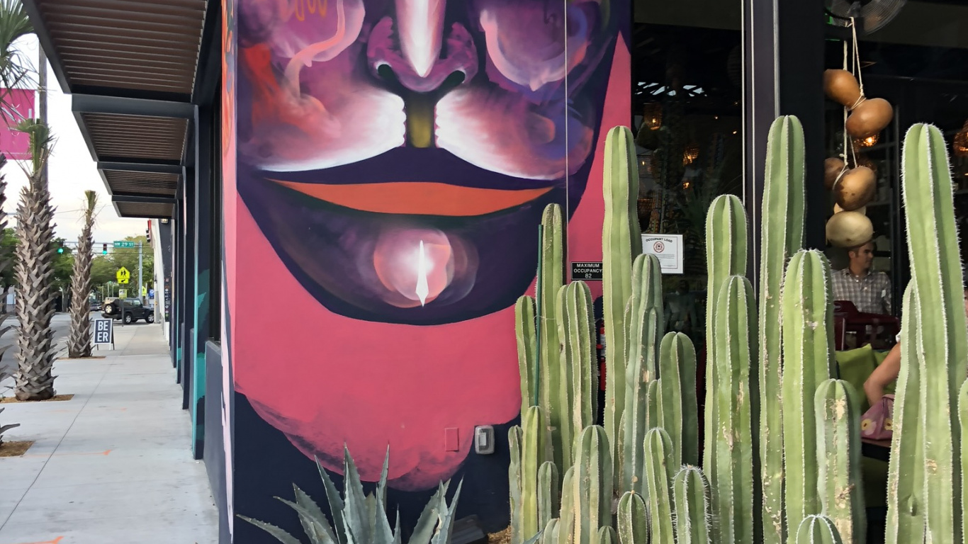 Miami, Art, Science, Biology, Terrestrial Plant. Wallpaper in 1366x768 Resolution