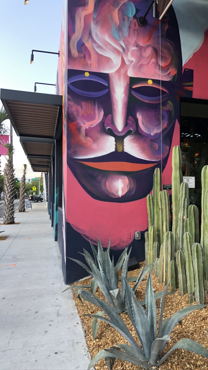 Miami, Art, Sciences, Biologie, Plante Terrestre. Wallpaper in 720x1280 Resolution