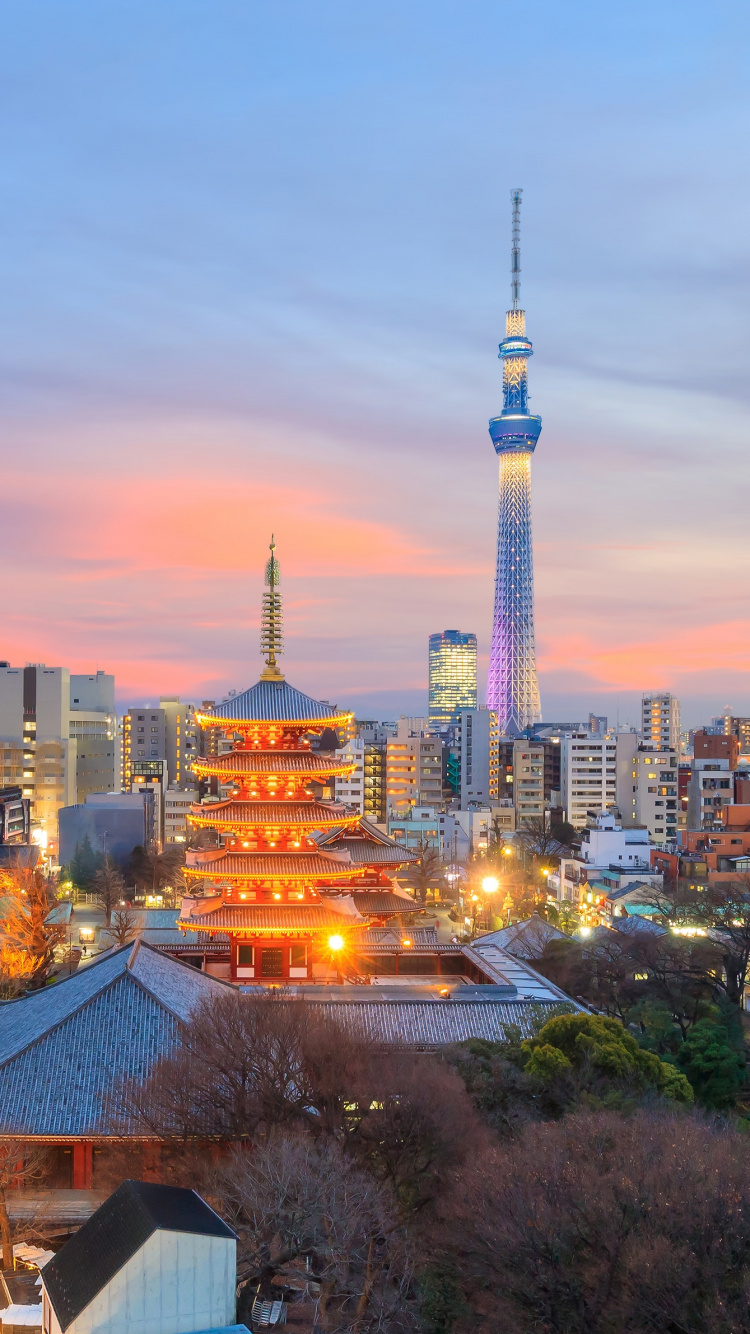 城市景观, 城市, 天际线, 里程碑, 大都会 壁纸 750x1334 允许