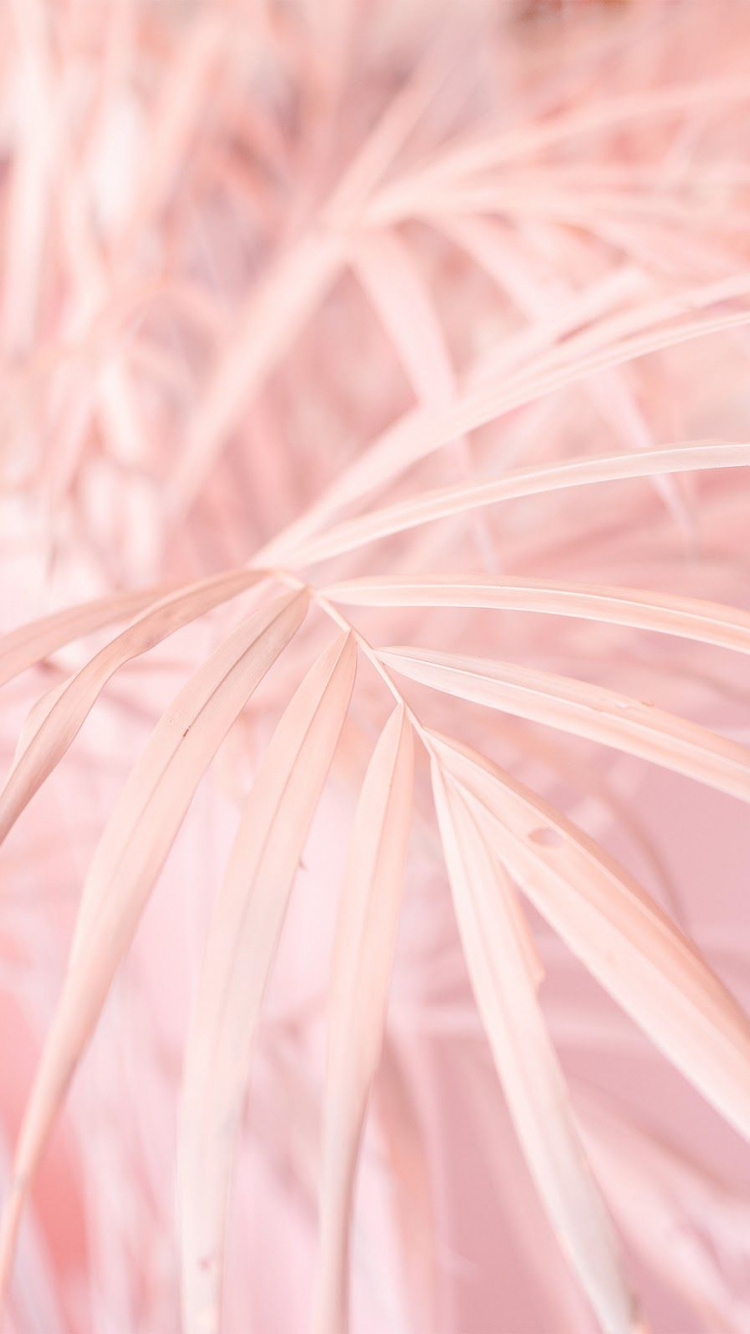 Pink and White Abstract Painting. Wallpaper in 750x1334 Resolution
