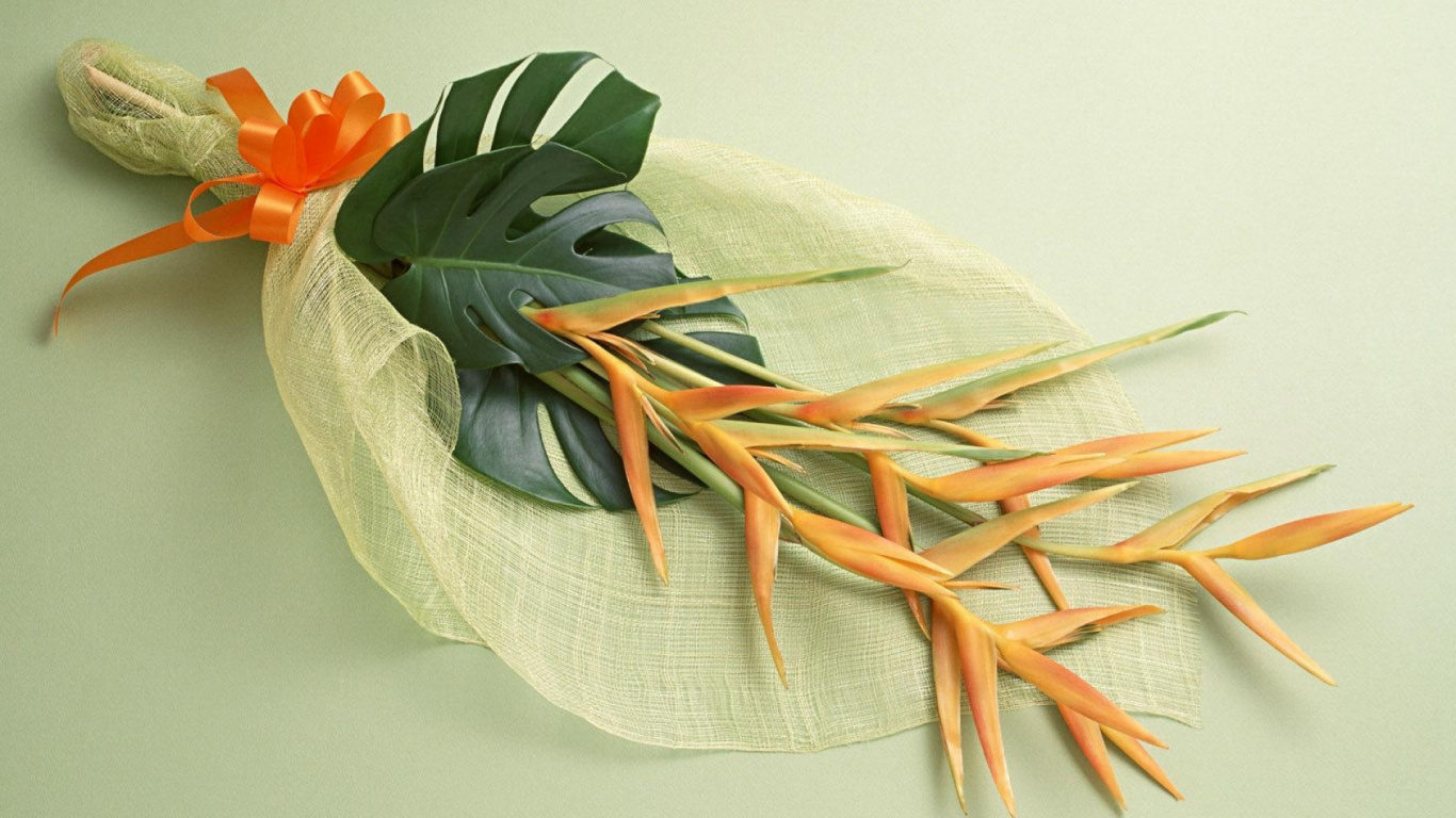 Orange and Green Leaves on White Textile. Wallpaper in 1366x768 Resolution