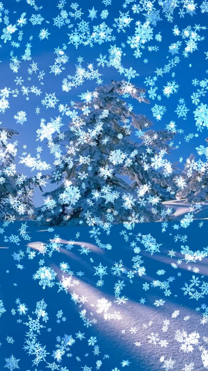 Weißer Und Schwarzer Baum Mit Weißem Schnee Tagsüber. Wallpaper in 720x1280 Resolution