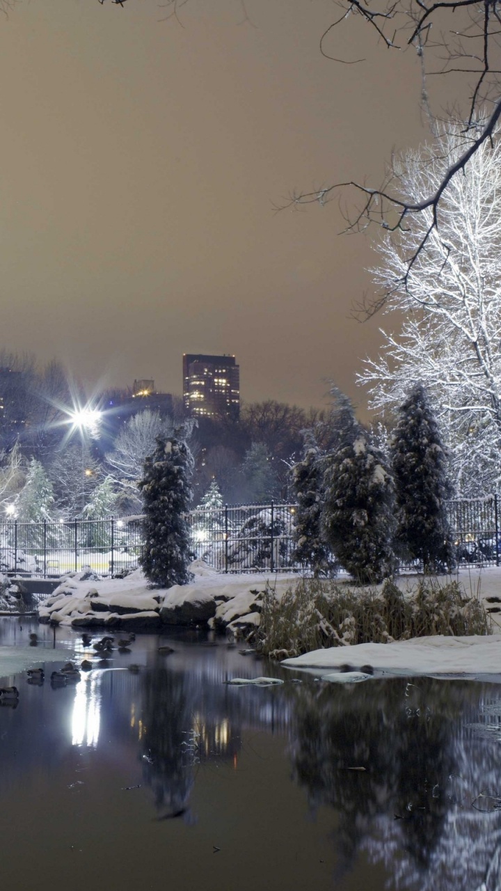 Snow Covered Trees and River During Daytime. Wallpaper in 720x1280 Resolution