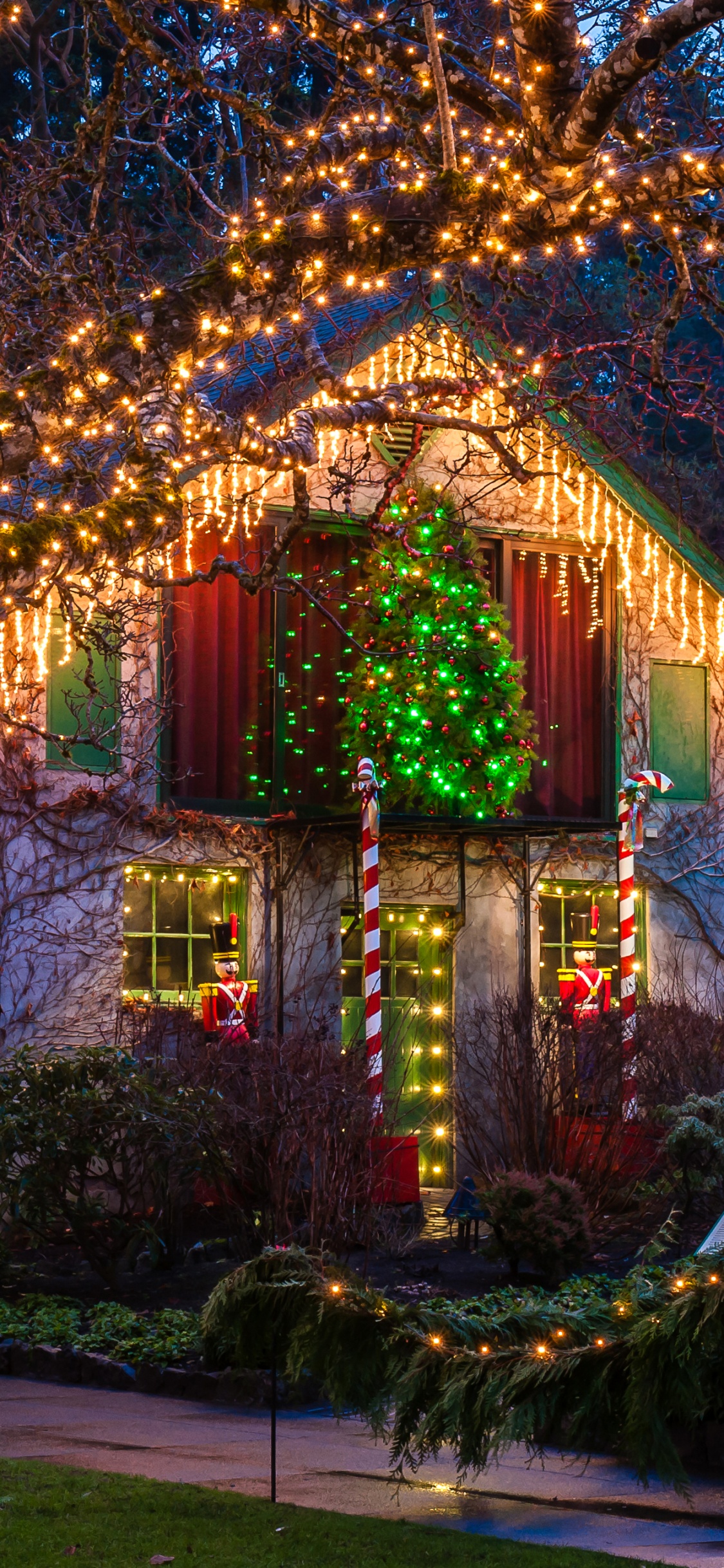 Vancouver, Christmas Day, New Year, Public Holidays in Canada, Christmas Lights. Wallpaper in 1125x2436 Resolution