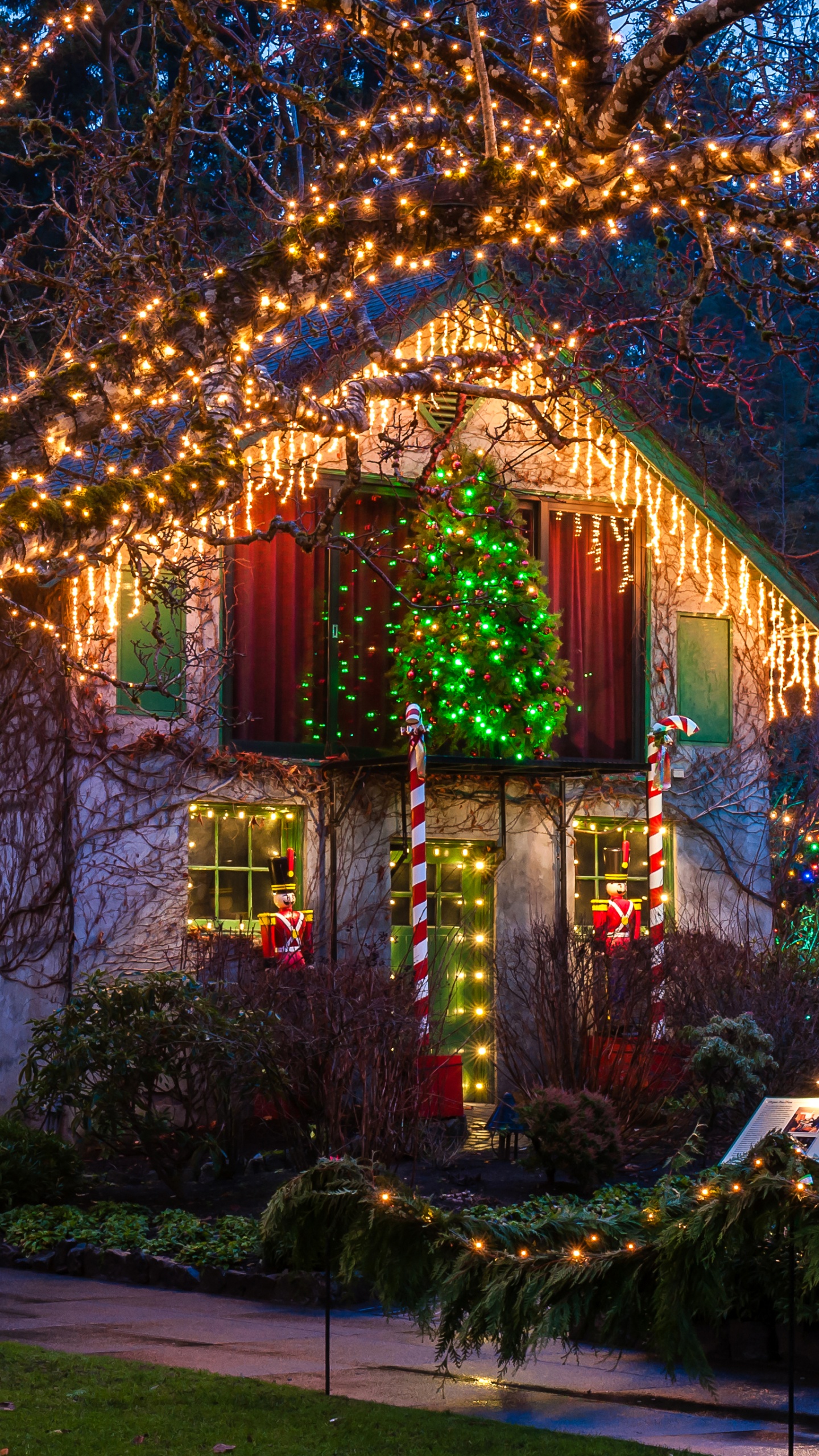 Vancouver, Christmas Day, New Year, Public Holidays in Canada, Christmas Lights. Wallpaper in 1440x2560 Resolution