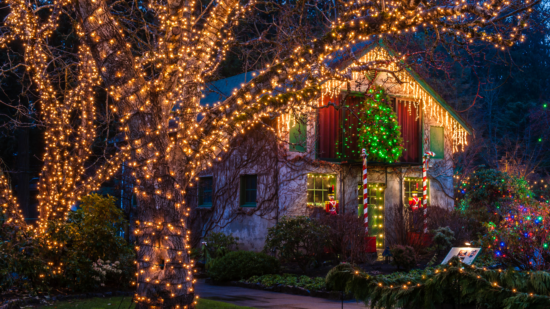 Vancouver, Christmas Day, New Year, Public Holidays in Canada, Christmas Lights. Wallpaper in 1920x1080 Resolution