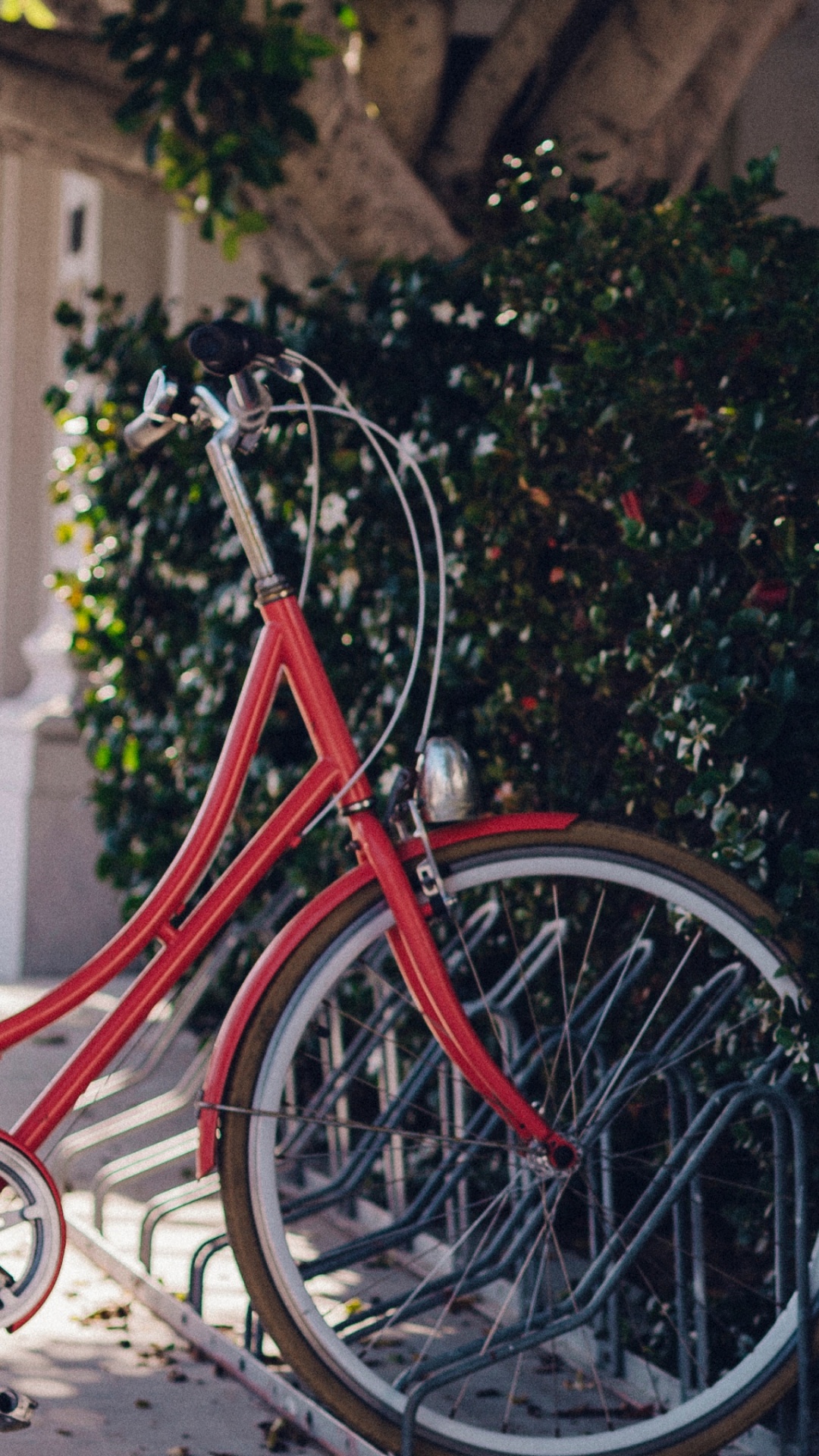 Bicicleta de Ciudad Roja Estacionada Junto a Plantas Verdes Durante el Día. Wallpaper in 1080x1920 Resolution