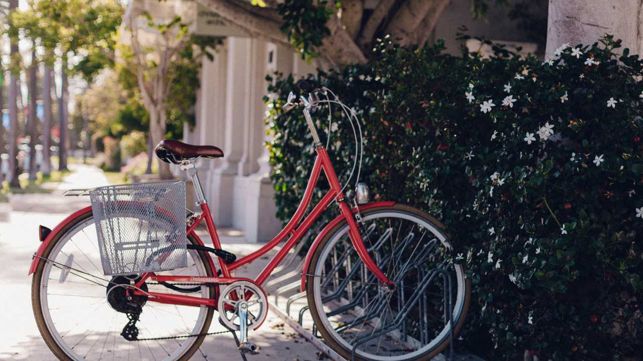 Bicicleta de Ciudad Roja Estacionada Junto a Plantas Verdes Durante el Día. Wallpaper in 1280x720 Resolution