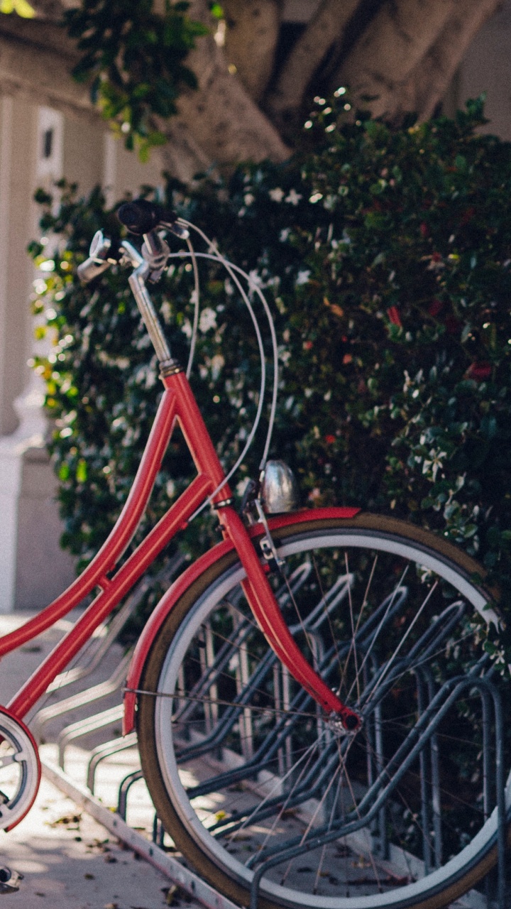 Bicicleta de Ciudad Roja Estacionada Junto a Plantas Verdes Durante el Día. Wallpaper in 720x1280 Resolution