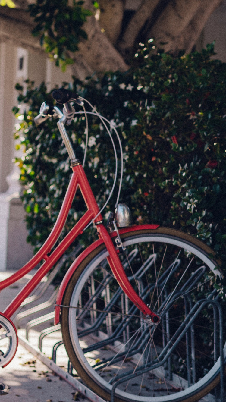 Bicicleta de Ciudad Roja Estacionada Junto a Plantas Verdes Durante el Día. Wallpaper in 750x1334 Resolution