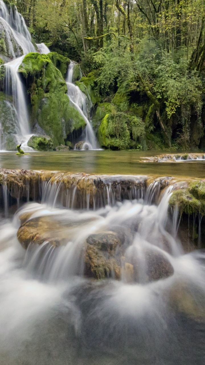 Water Falls in The Middle of Green Trees. Wallpaper in 720x1280 Resolution
