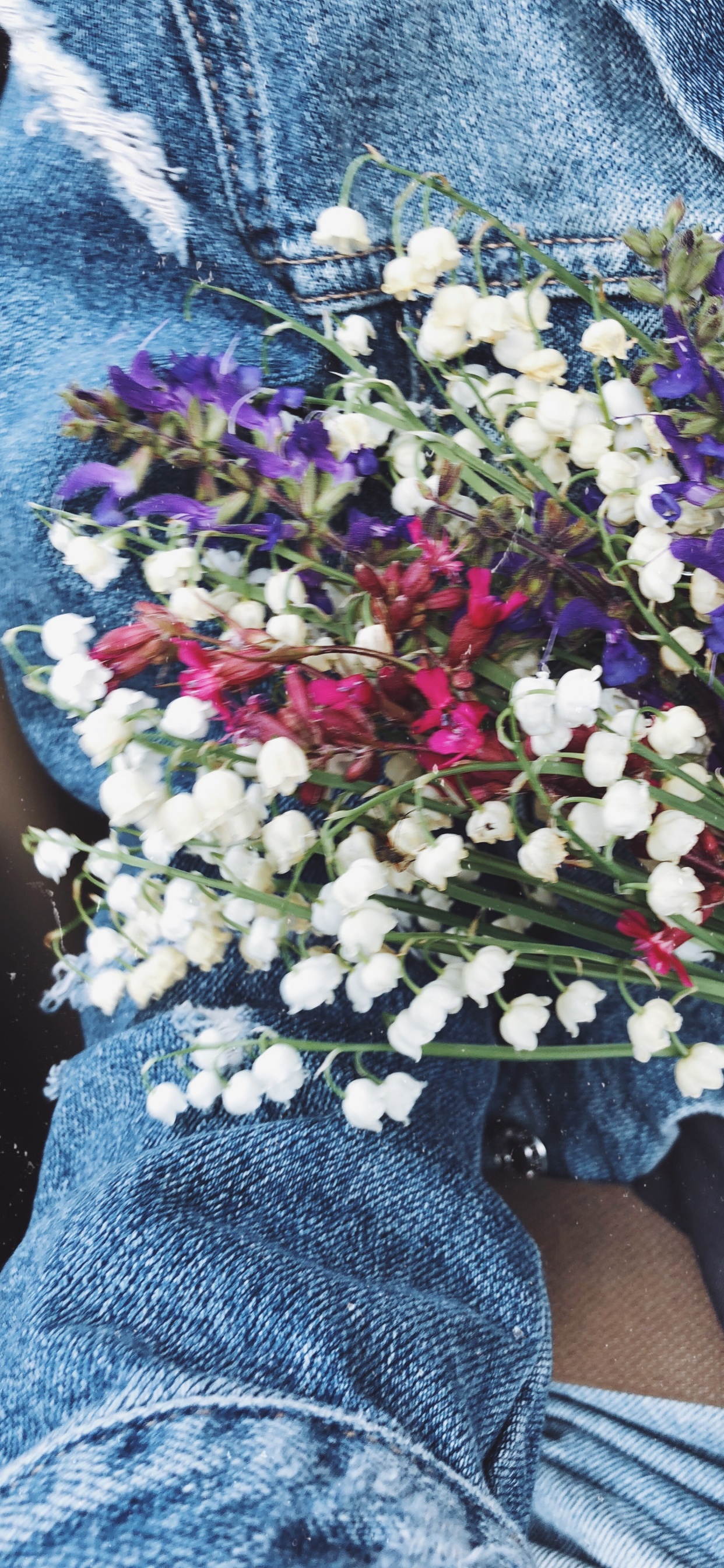 Cut Flowers, Floral Design, Flower Bouquet, Science, Blue. Wallpaper in 1242x2688 Resolution