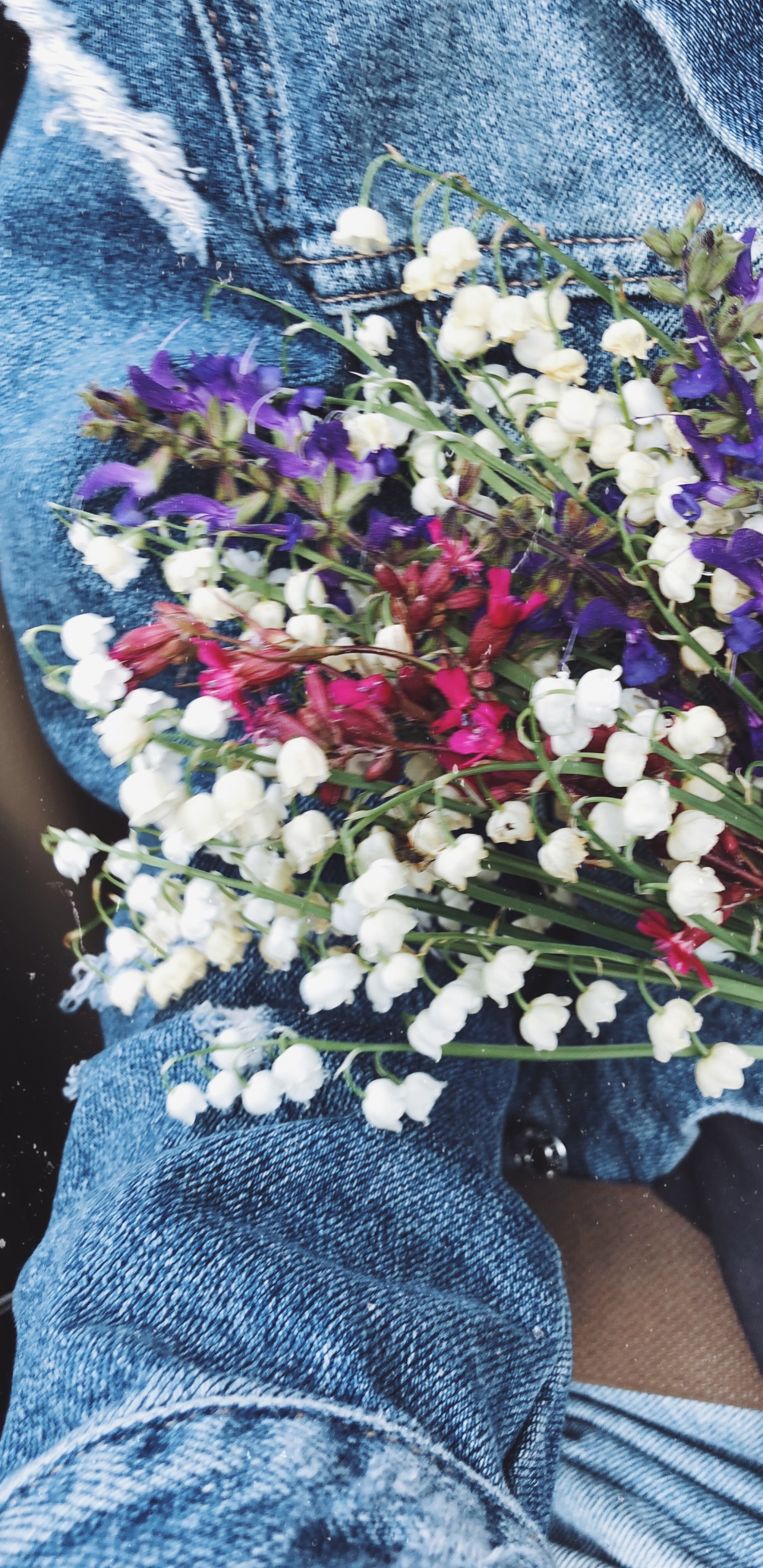 Les Fleurs Coupées, Design Floral, Bouquet de Fleurs, Sciences, Blue. Wallpaper in 1440x2960 Resolution