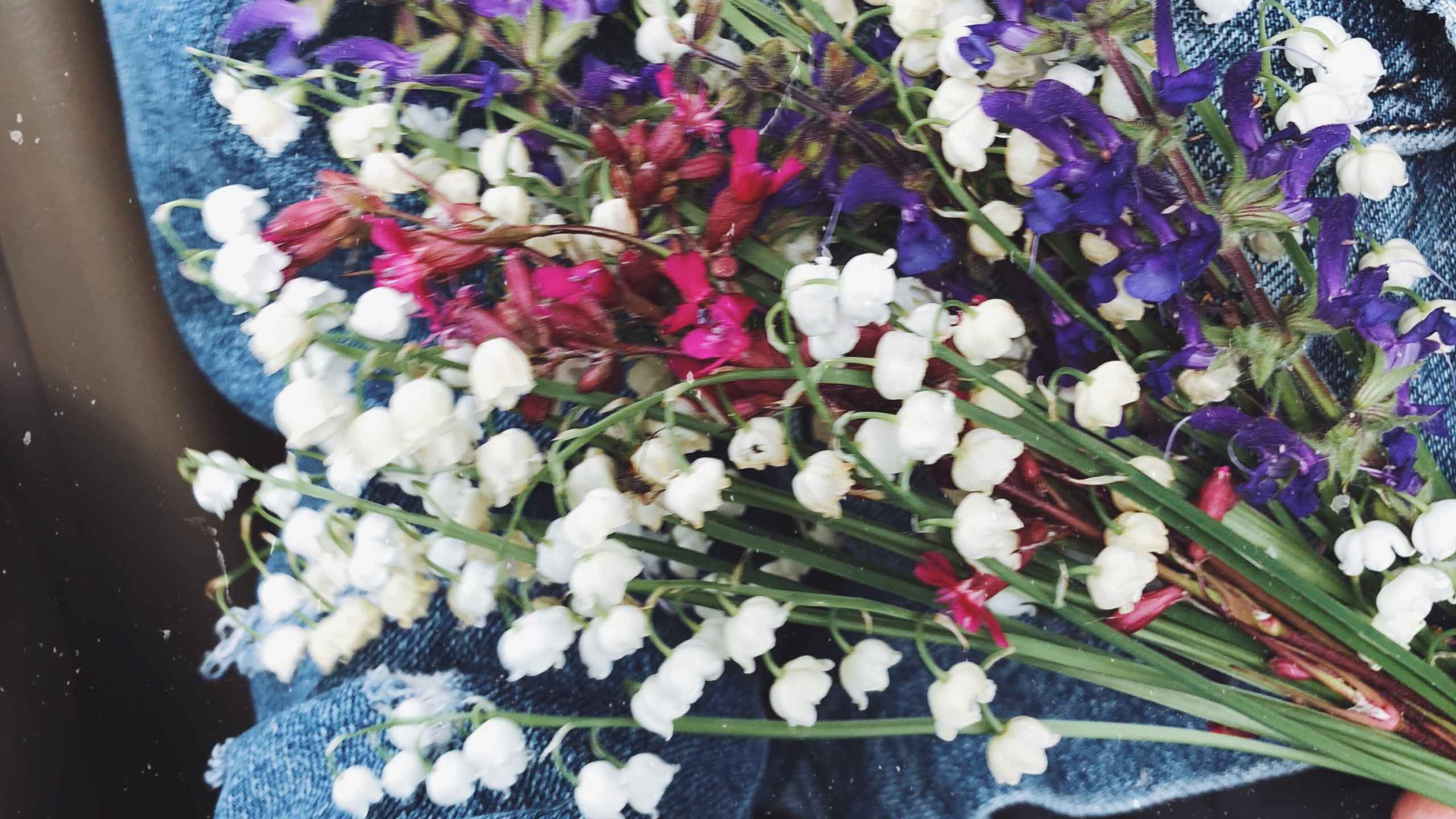 Les Fleurs Coupées, Design Floral, Bouquet de Fleurs, Sciences, Blue. Wallpaper in 2560x1440 Resolution