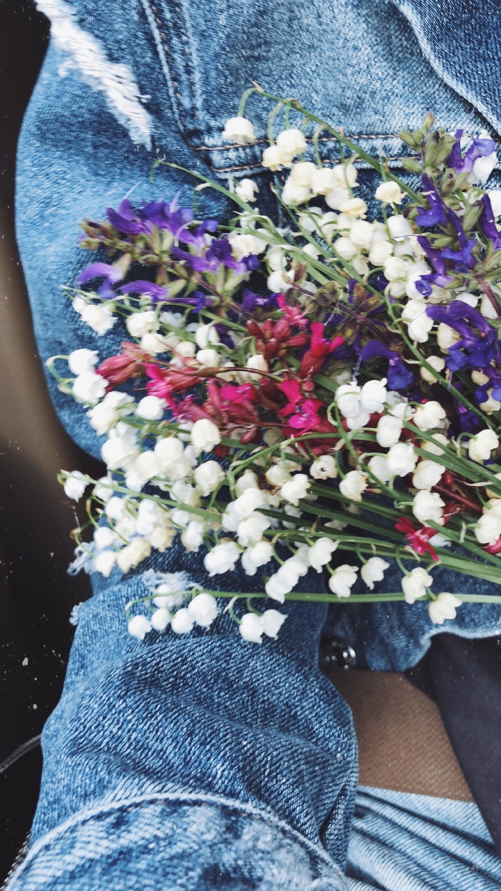 Schnittblumen, Blumenmuster, Wissenschaft, Blau, Jeans. Wallpaper in 720x1280 Resolution