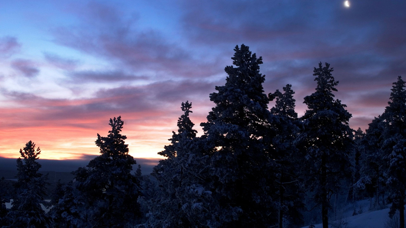 Silhouette of Trees Under Cloudy Sky During Sunset. Wallpaper in 1366x768 Resolution