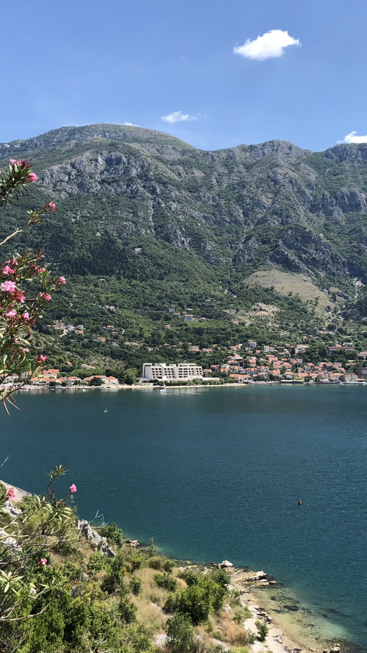 Vegetation, Gewässer, Natur, Bergigen Landschaftsformen, Küste. Wallpaper in 750x1334 Resolution