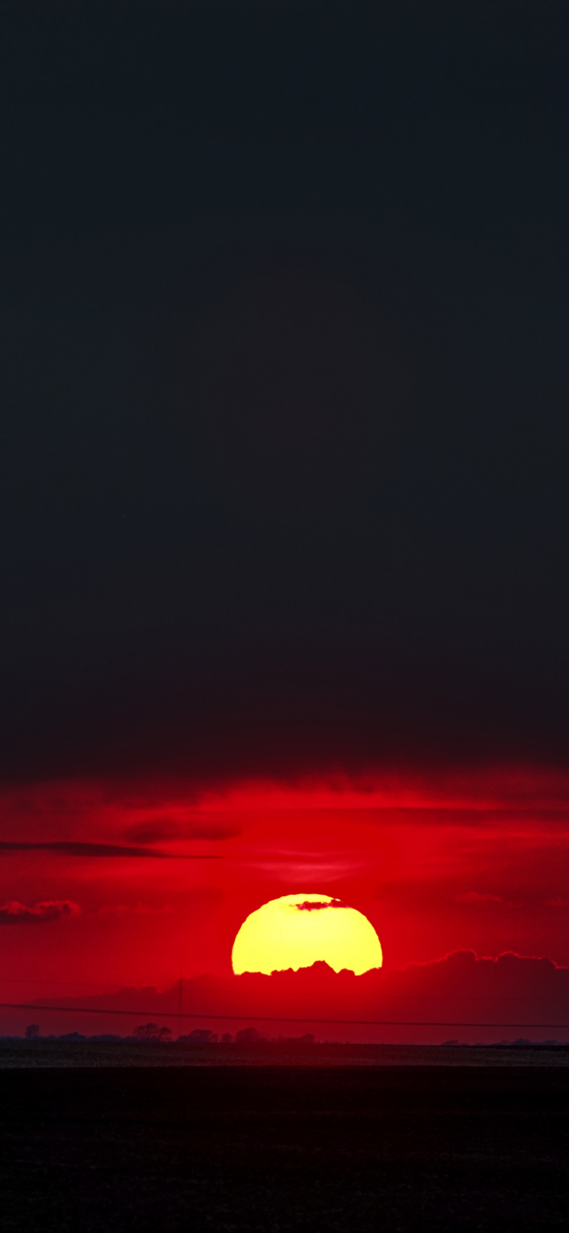 Silhouette of Trees During Sunset. Wallpaper in 1125x2436 Resolution