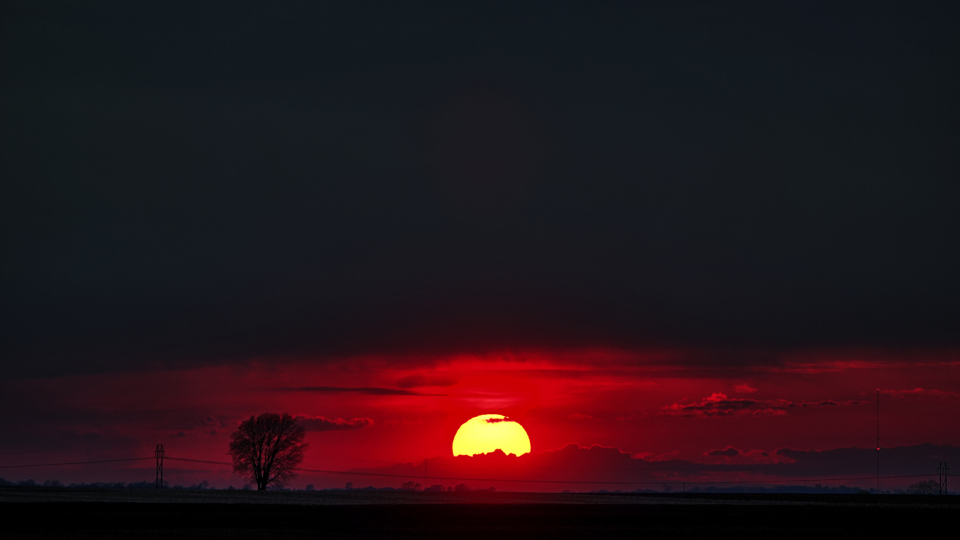 Download 1366x768 Wallpaper Silhouette of Trees During Sunset Silhouette of Trees During Sunset. Wallpaper in 1366x768 Resolution
