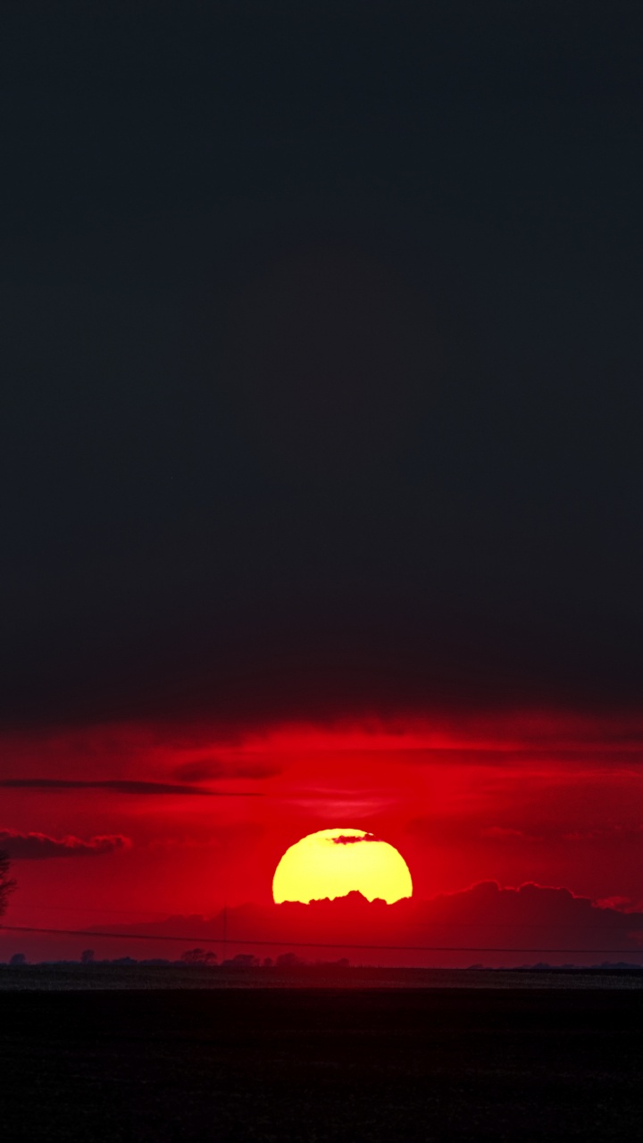 Silhouette of Trees During Sunset. Wallpaper in 720x1280 Resolution