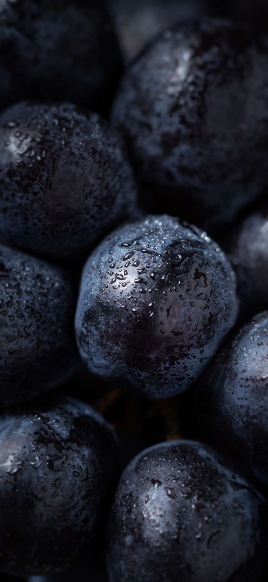 Blueberry, Grape, Superfood, Plant, Colorfulness. Wallpaper in 1125x2436 Resolution