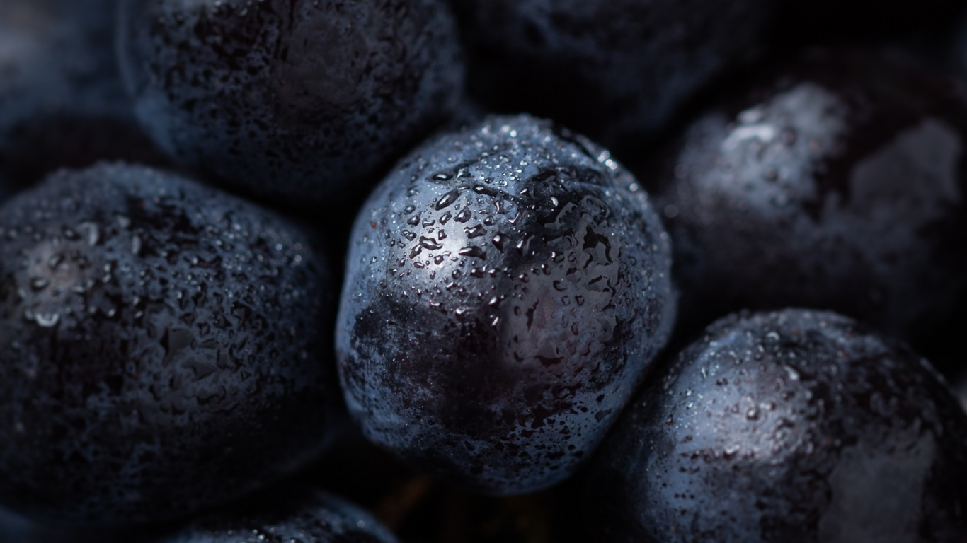 Blueberry, Grape, Superfood, Plant, Colorfulness. Wallpaper in 1366x768 Resolution
