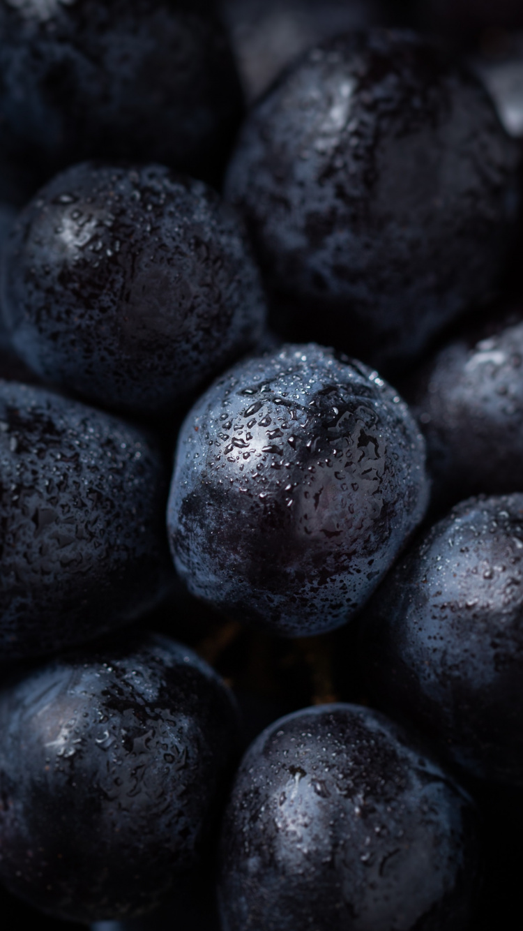 Blueberry, Grape, Superfood, Plant, Colorfulness. Wallpaper in 750x1334 Resolution