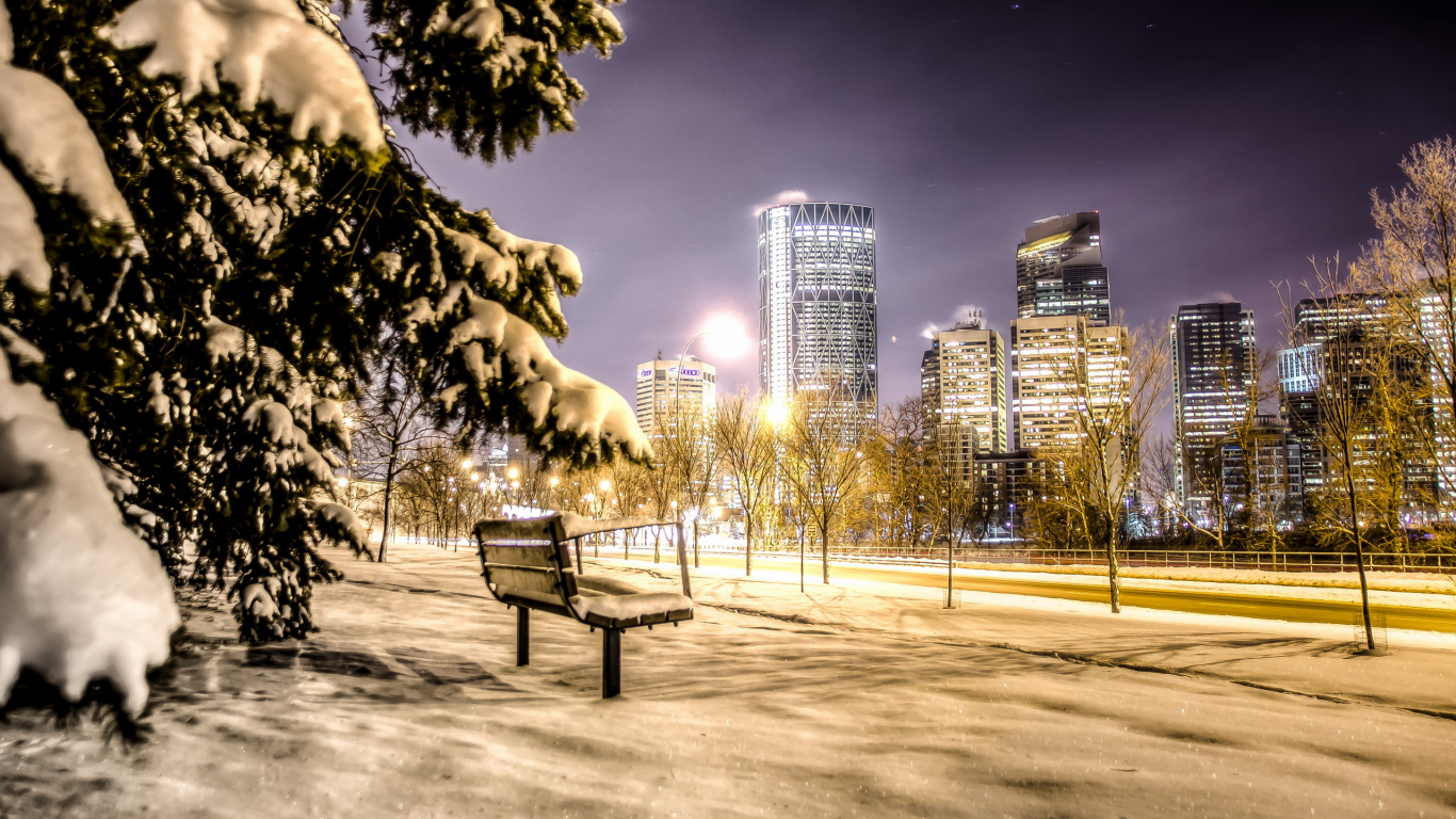Brown Wooden Bench Near Trees and High Rise Buildings During Night Time. Wallpaper in 1366x768 Resolution