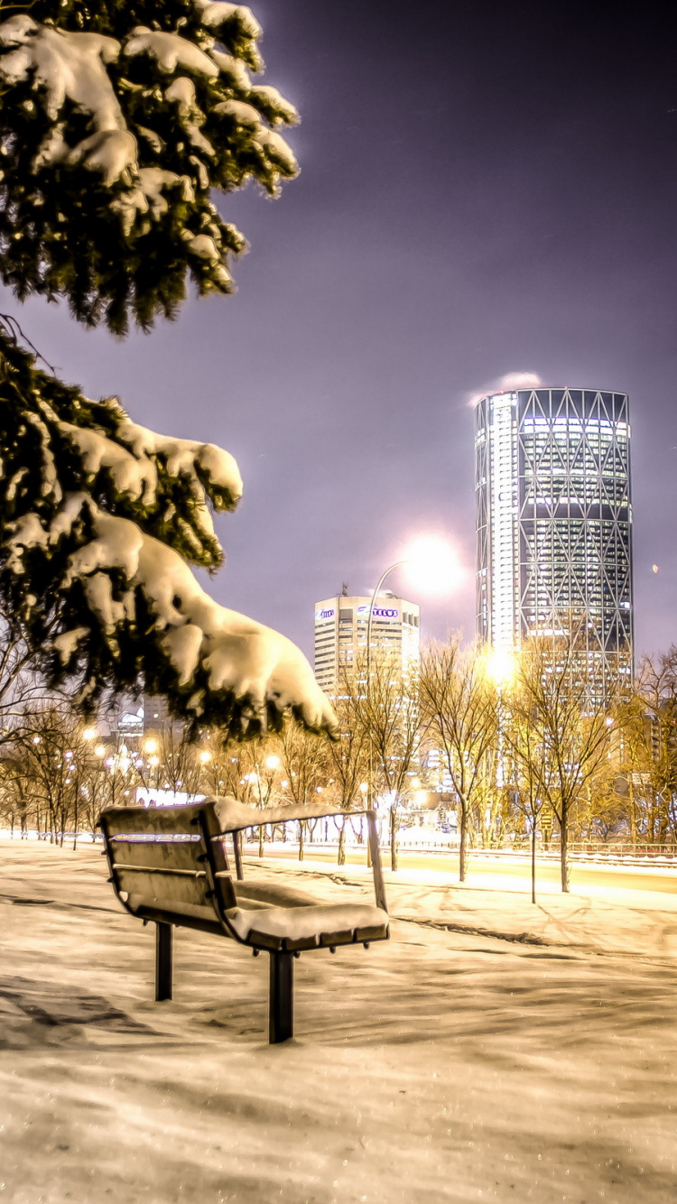 Brown Wooden Bench Near Trees and High Rise Buildings During Night Time. Wallpaper in 750x1334 Resolution